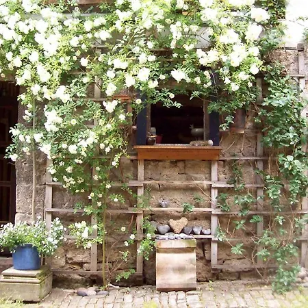 Abh Am Blauen Hof 公寓